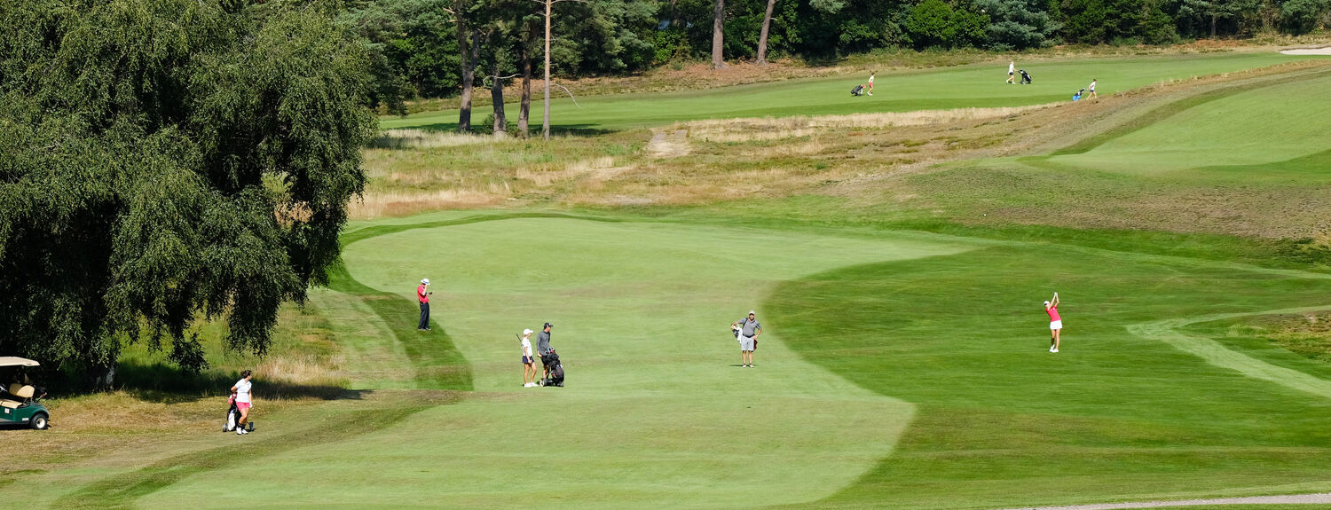 Open Competitions Parkstone Golf Club